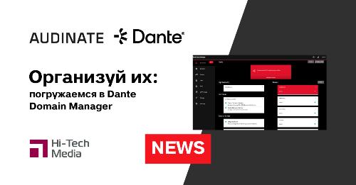 Организуй их: погружаемся в Dante Domain Manager