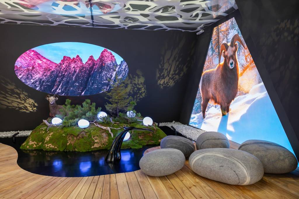 MOL_4314.jpg MOL_4314.jpg