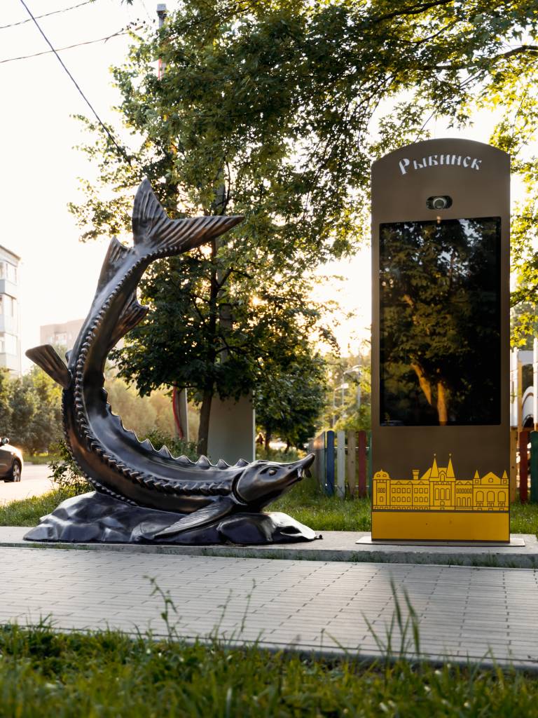 DSC02442.jpg DSC02442.jpg