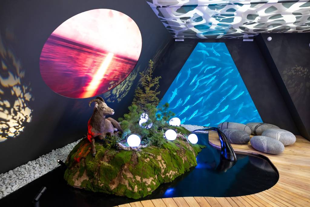 MOL_4318.jpg MOL_4318.jpg